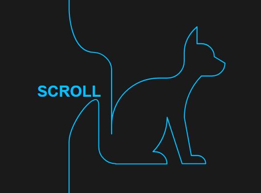 SVG Draw On Scroll